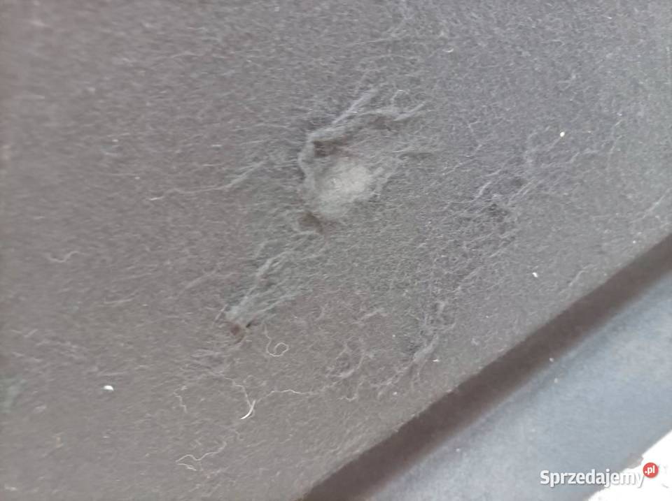 PÓŁKA TYLNA 2G VW Volkswagen Polo VI 2017 osobowe