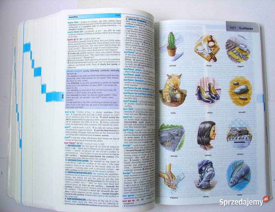 Dictionary of Conterporary English z CD Praca Rok wydania 2003 łódzkie Łódź