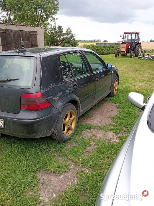 golf 4 19 TDI 90 Rok produkcji 1999 Unisław
