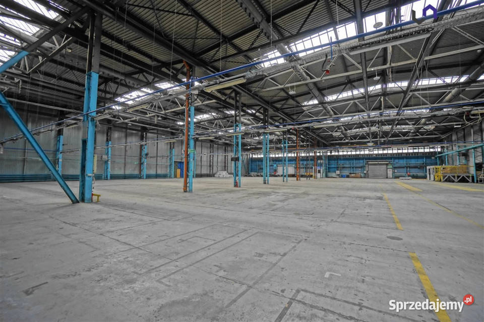 Lokal 6100m Mikołów 6100m2