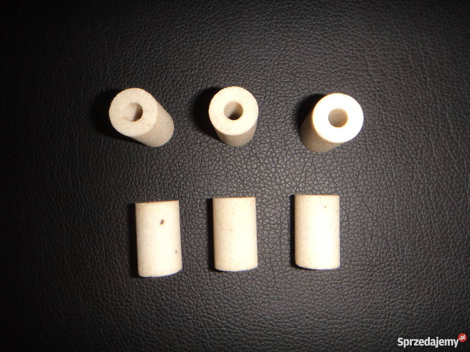 Ściernica otworowa 16625 dolnośląskie Wrocław