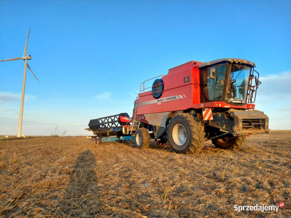 kombajny MasseyFerguson 7245 Activa świętokrzyskie