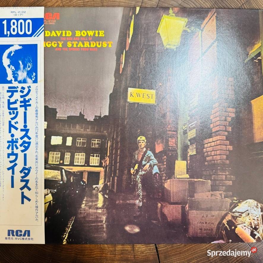 David Bowie The Rise And Fall Of Ziggy Stardust 1 płyta mazowieckie