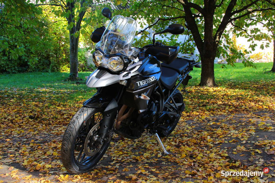 Triumpt Tiger 800XRx pomorskie
