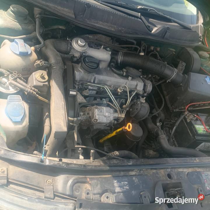Seat Leon 1 19 TDI 110150 nieuszkodzony Bodzentyn