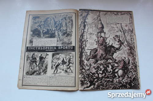 Encyklopedia sportu fragmenty rysUniechowski Warszawa