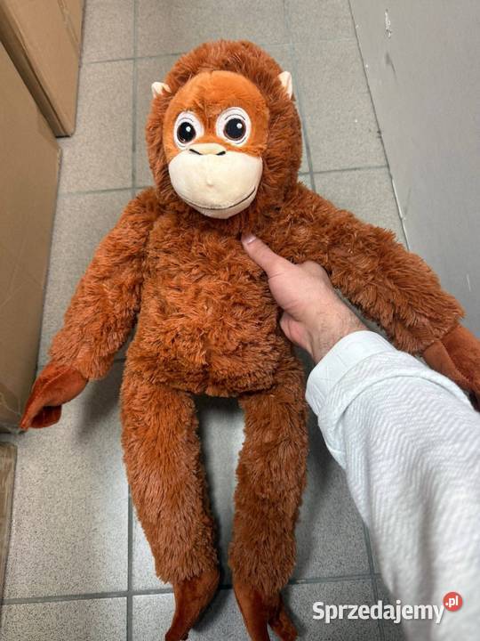 Małpka maskotka mazowieckie Warszawa