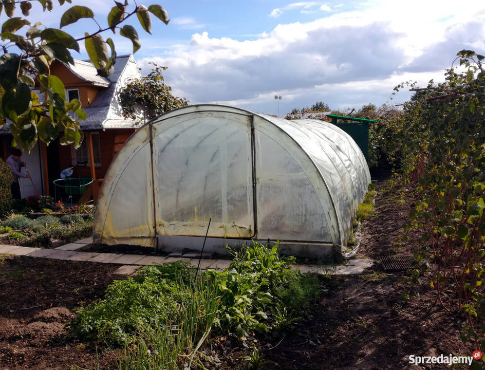 Działka ROD Racibórz