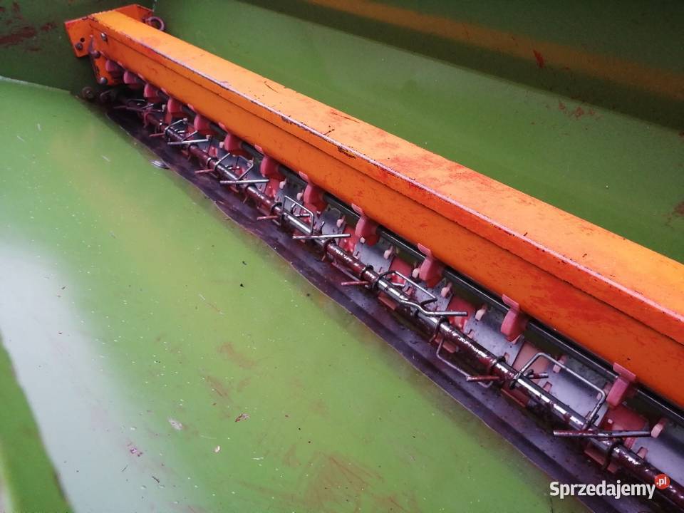 Amazonie D7 SPECJAL Chojnów