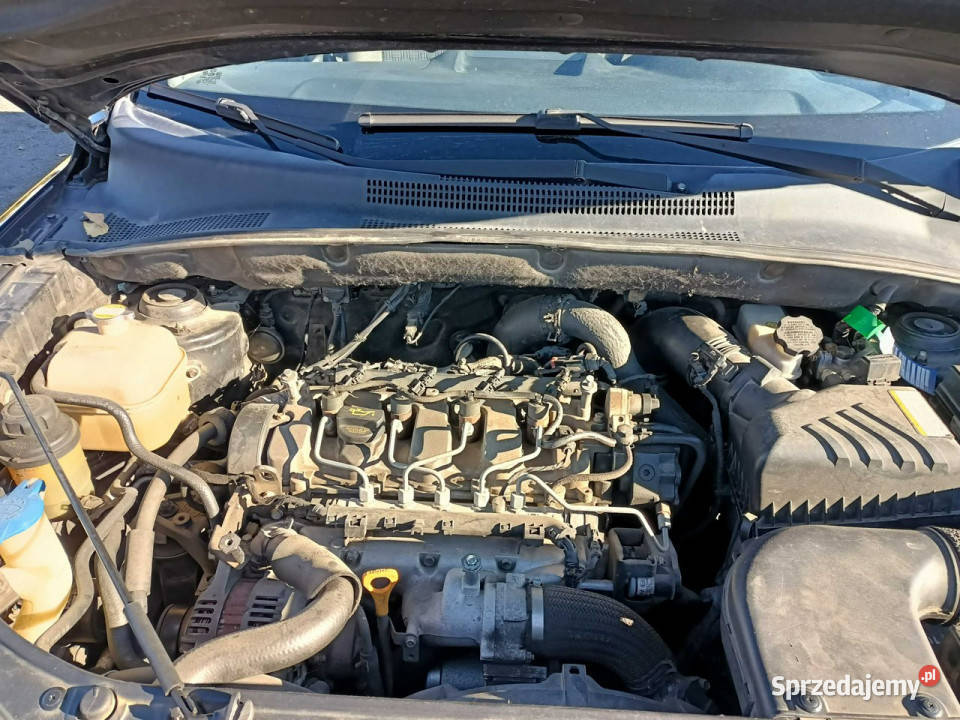 Kia Sportage Kia Sportage 20CRDI 136 07r II Tarnów