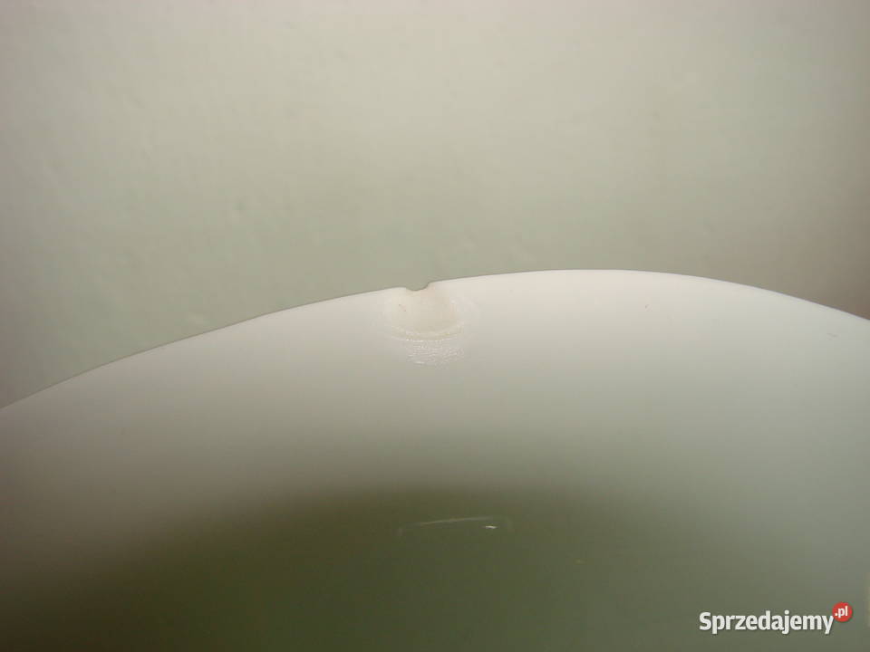 Lubiana Truskawki talerz obiadowy Pruszcz Gdański