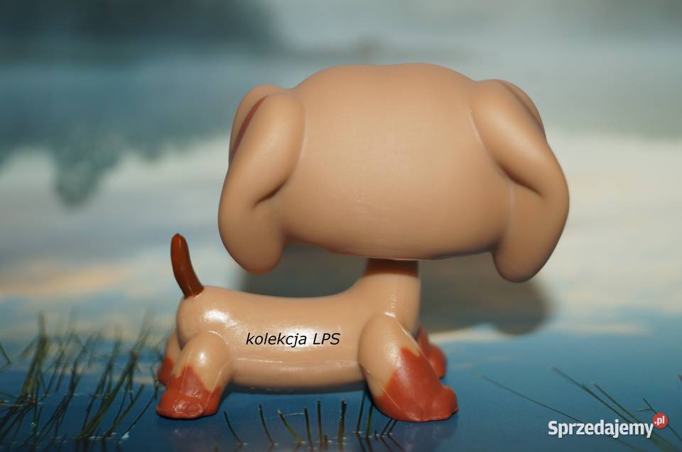 LPS Littlest Pet Shop jamnik 1211 oryginalny pop Rybnik