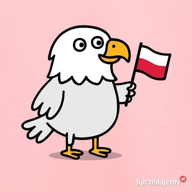 Bluza dziecka dziewczynka chłopiec patriotyczna Kraków