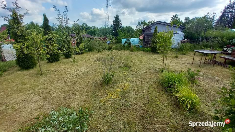 Działka rekreacyjna ROD Słonecznik 300m2 Myki
