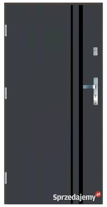 Drzwi wejściowe do domu Zewnętrzne GA11 BLACK Ciemniewo