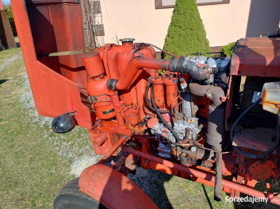 WŁADIMIREC T25 Wawrochy sprzedam