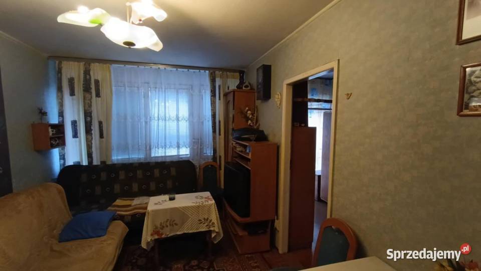 2pok 37met Ogrodu Botanicznego WINDA ZARAZ Sprzedaż Wrocław