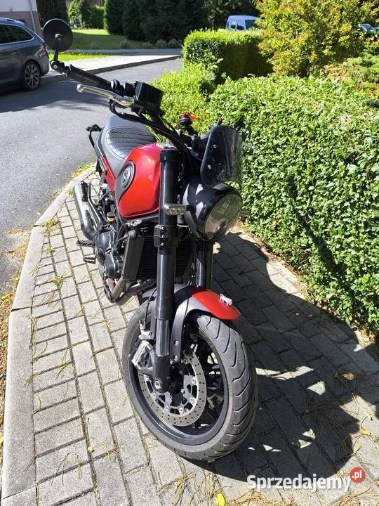Benelli Leoncino 500 Olszyna