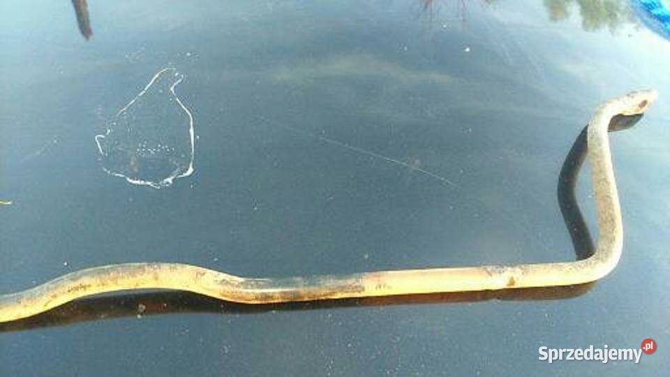 Stabilizator Citroen ZX Peugeot 306 OE 508187 Warszawa