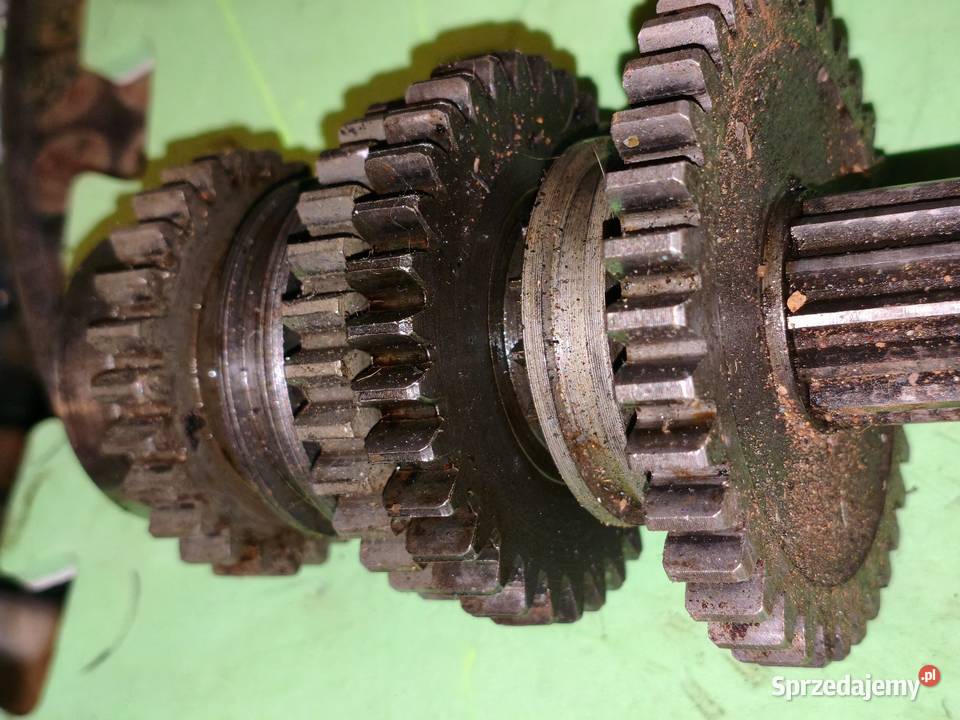 Wałek tryby skrzyni biegów że wstecznym Dniepr Leszno