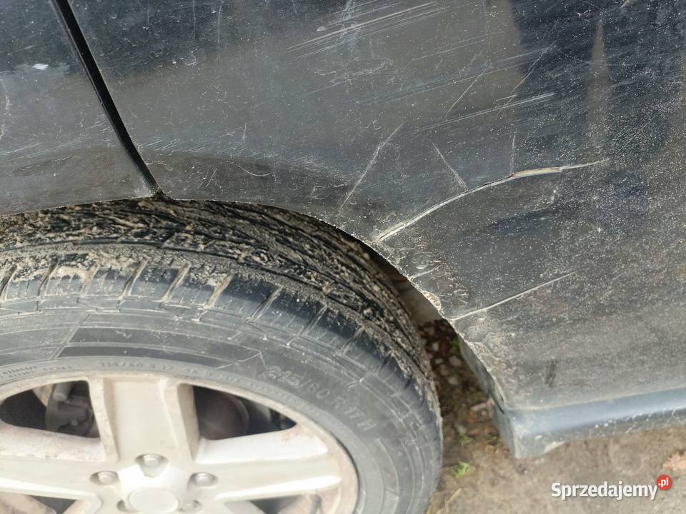 Opony 1957015c letnie warmińsko-mazurskie Gajewo