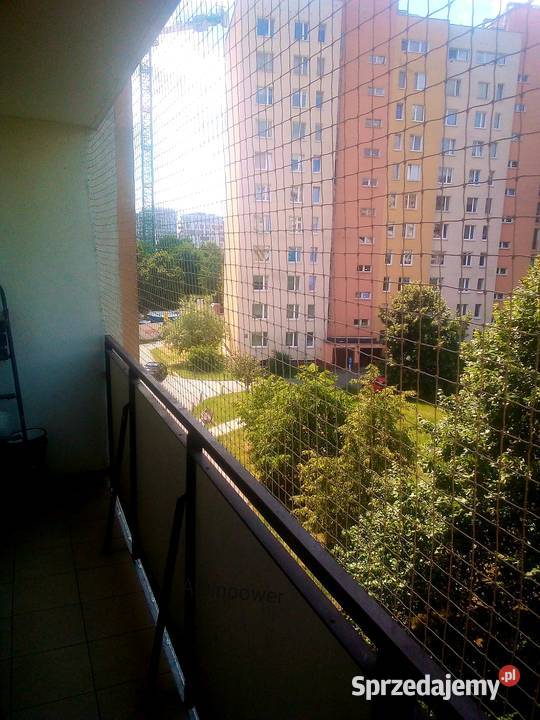 SIATKA PRZECIWKO PTAKOM Montaż Bez Wiercenia Warszawa