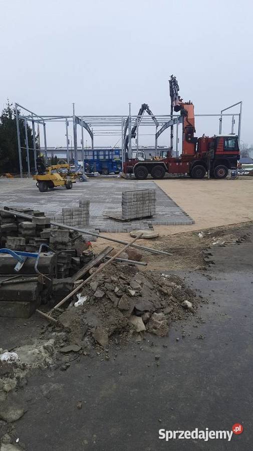 Ukladarka do kostki chwytak probst optimas