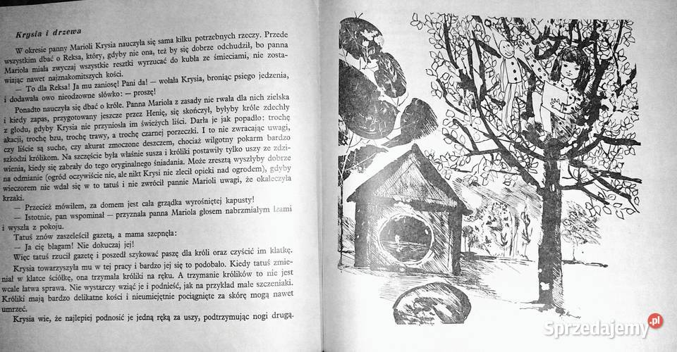 Krysia Zofia Woźnicka Kultura i Rozrywka Chełm sprzedam