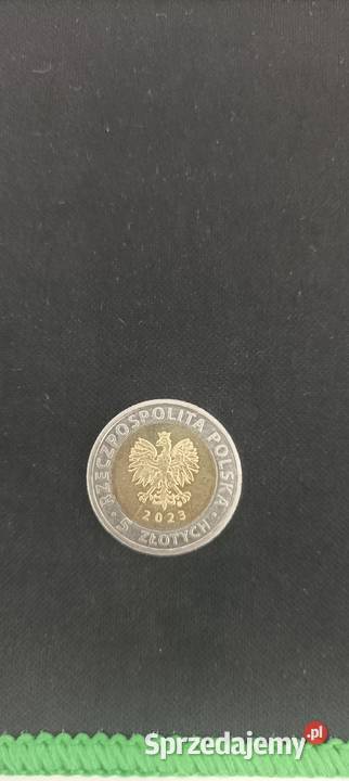 5 mierzeja wiślana sprzedam