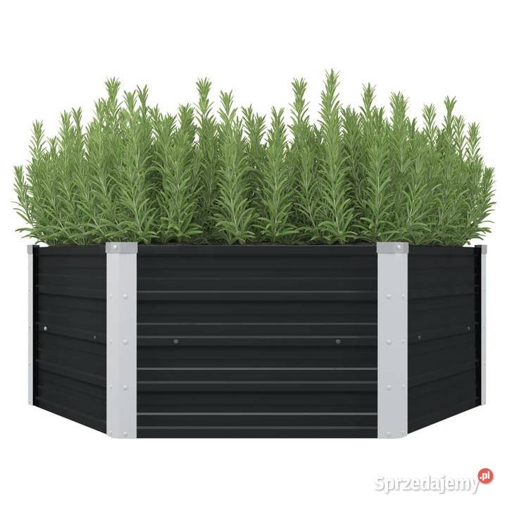vidaXL Donica do podniesionej grządki Kwietniki mazowieckie Warszawa