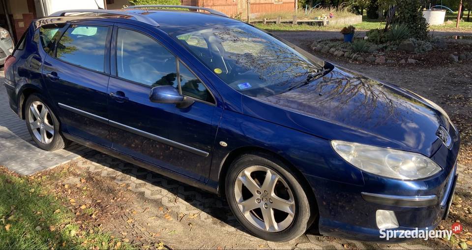 Peugeot 407 20 hdi Wisznice