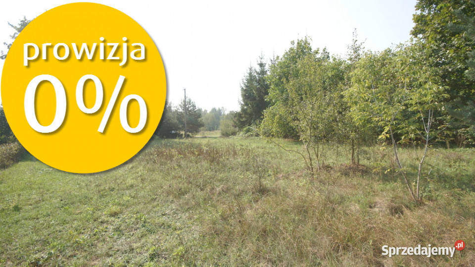 Działka 16 ar w miejsc Gołąb pow Lubartowski
