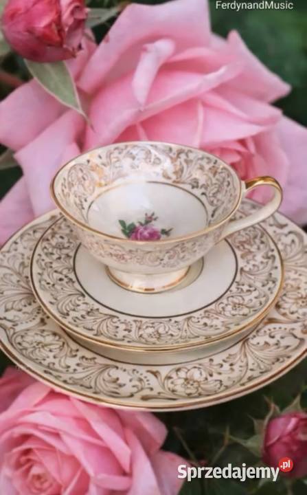 Alka 830 Bawaria Floral Cream Gold
ALKA KUNST Pabianice