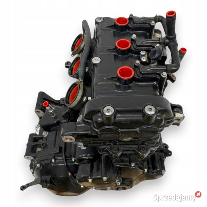 SILNIK Triumph Tiger 1050 115 20072012 engine