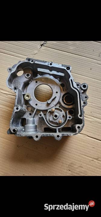 Karter mxu 300 Dziembowo