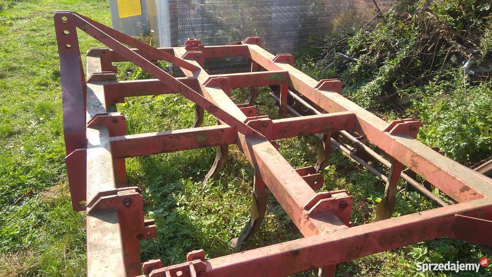 Scierniskowiec 3m lubelskie