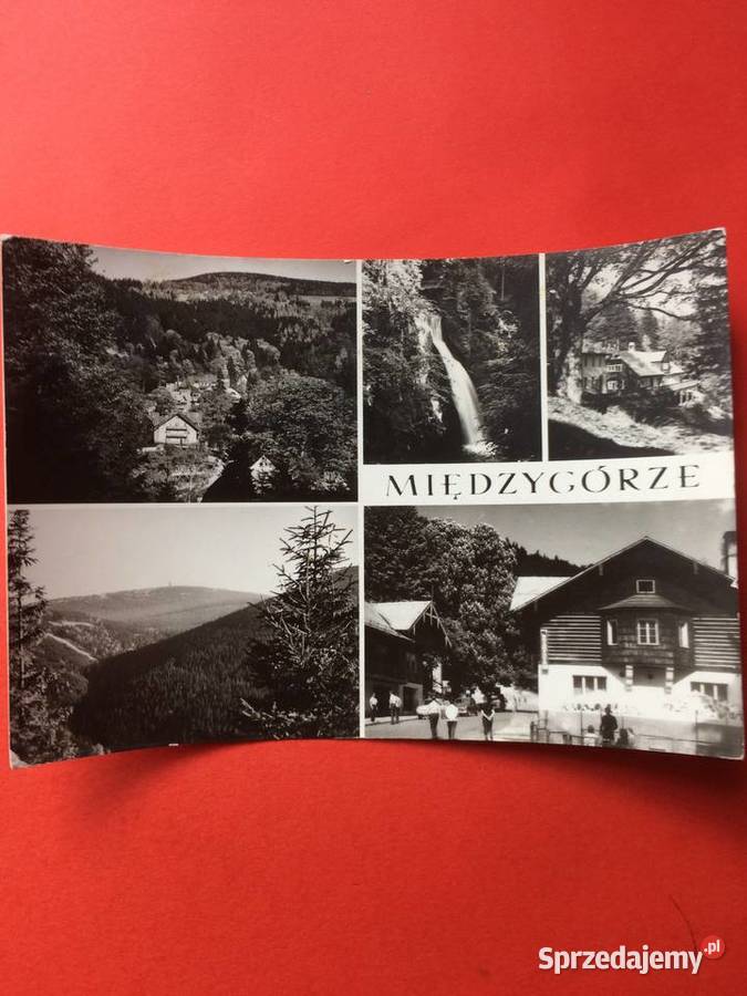 2684 Widokówka Międzygórze Antyki, Sztuka, Kolekcje