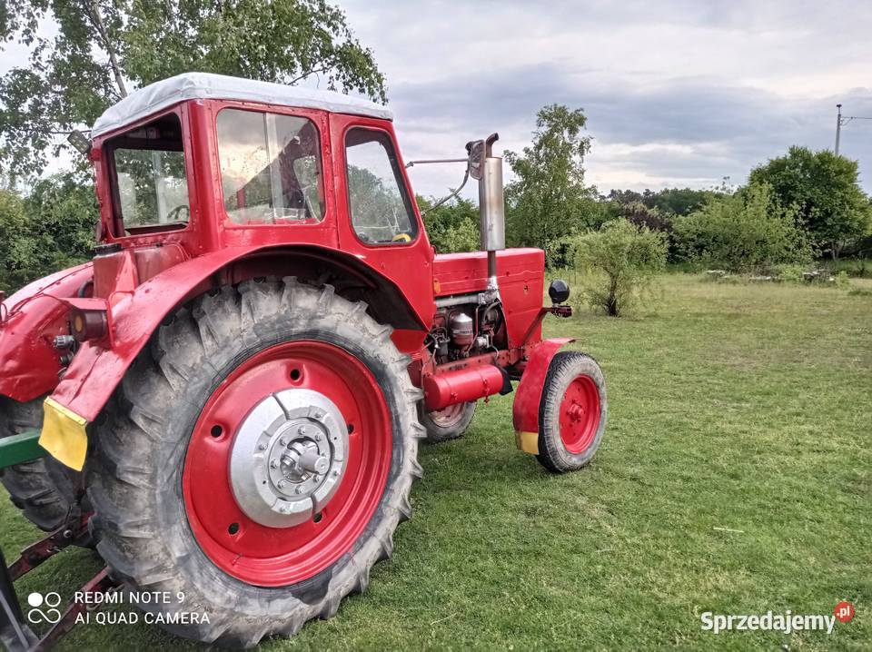 Traktor ciągnik MTZ 50 zarejestrowany Wersja Rusko