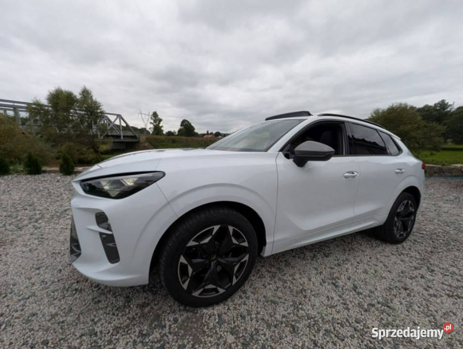 Cupra Terramar VZ 265 4x4 PanoramaNagłośnienie biały Kamienna Góra