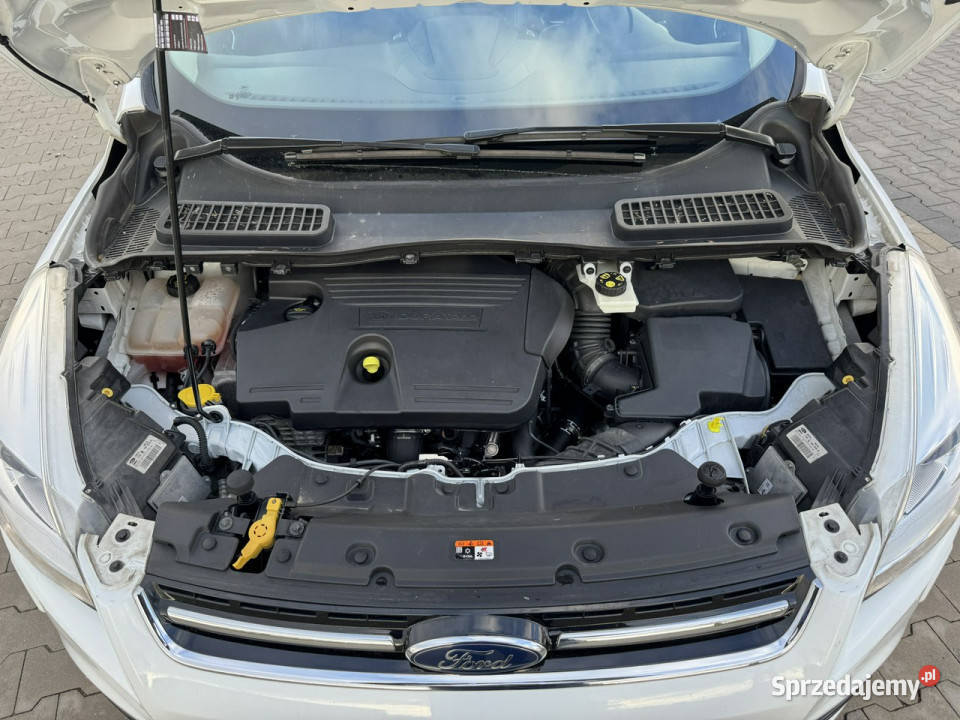 Ford Kuga 20 TDCI 150 LED Nawigacja Kamera 150KM Mrągowo