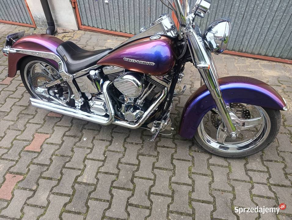 HarleyDavidson Softail Custom EVO 1340 Motoryzacja Gostyń