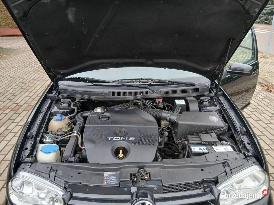 VOLKSWAGEN GOLF Zielonka