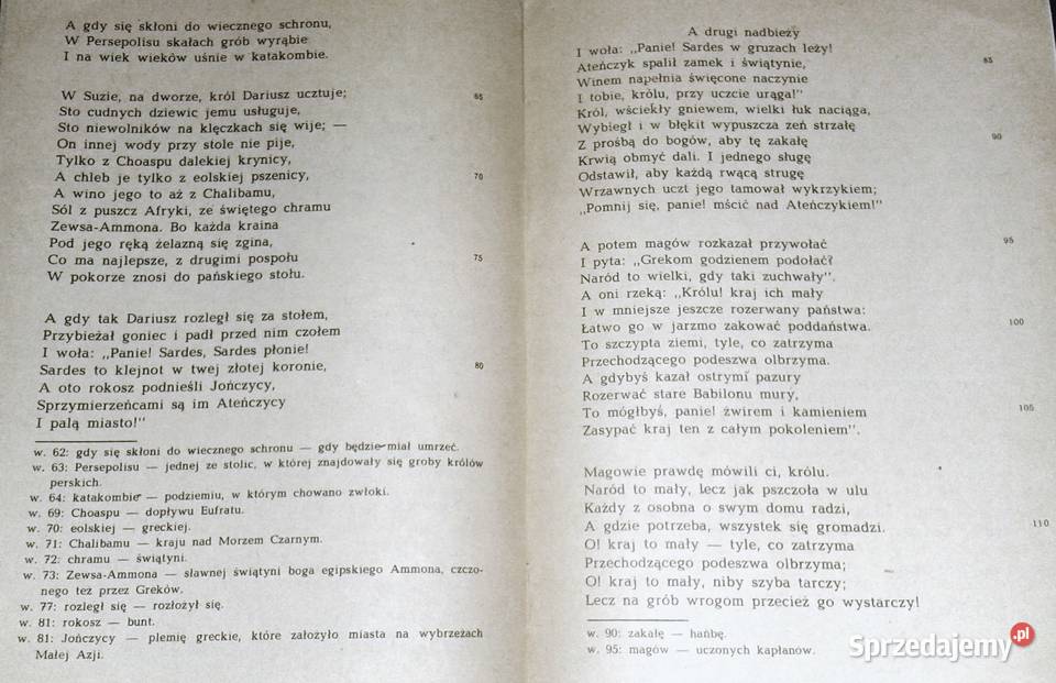 Maraton Kornel Ujejski lubelskie Chełm