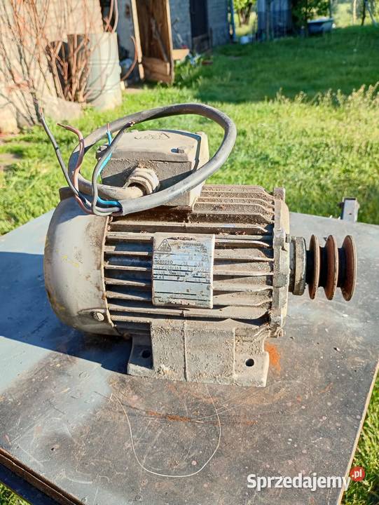 silnik elektryczny Maszewo