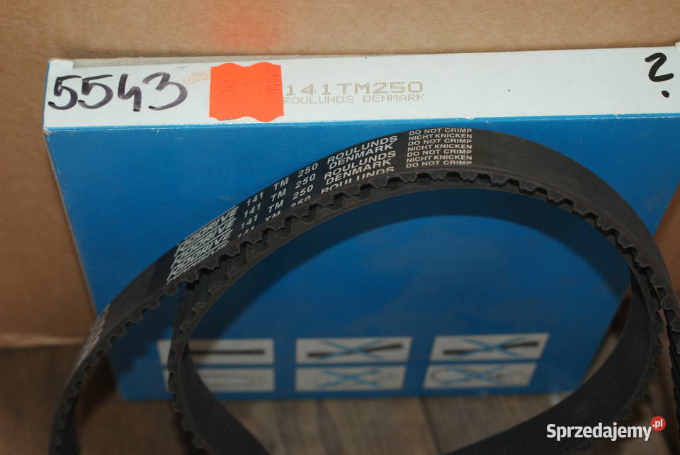 PASEK ROZRZ141Z AUDI A3 19TDI 01 5543XS Białobrzegi