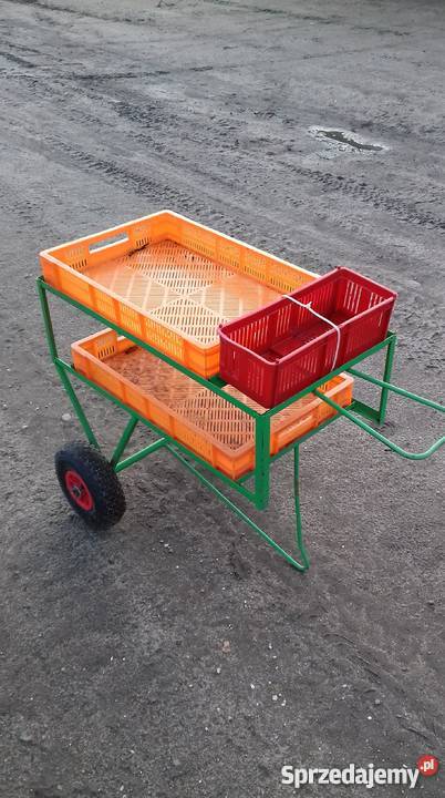 Wózki do zbioru Malin Truskawek Borówek OKAZJA Lubartów