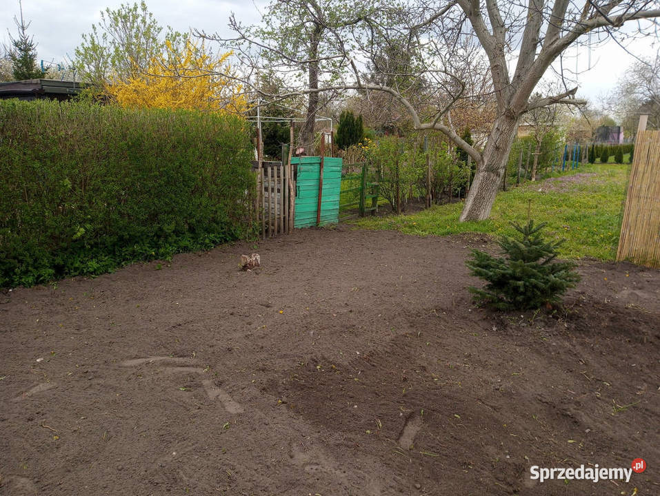 WYKONAM RÓŻNE PRACE FIZYCZNE Inowrocław