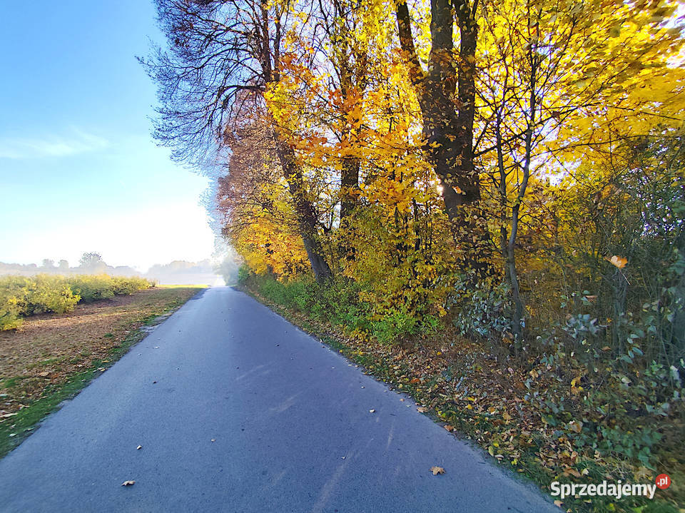 Sprzedam siedlisko w gminie Garbów Sprzedaż lubelskie