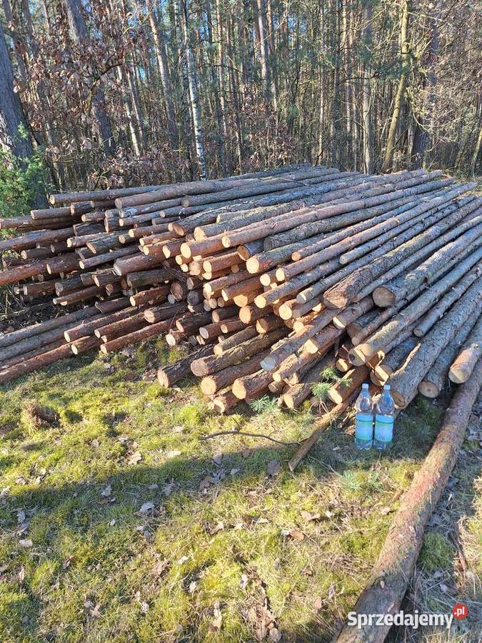 Stęple budowlane Włocławek sprzedam