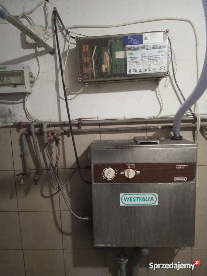 Dojarka Westfalia z hali udojowej Grajewo